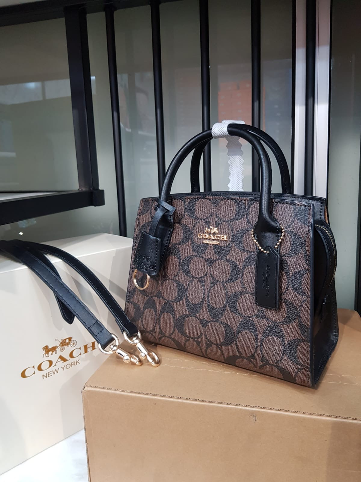 Coach Andrea Carryall Bag