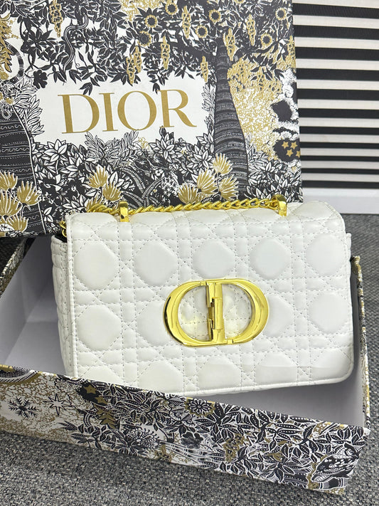 Dior Crossbody