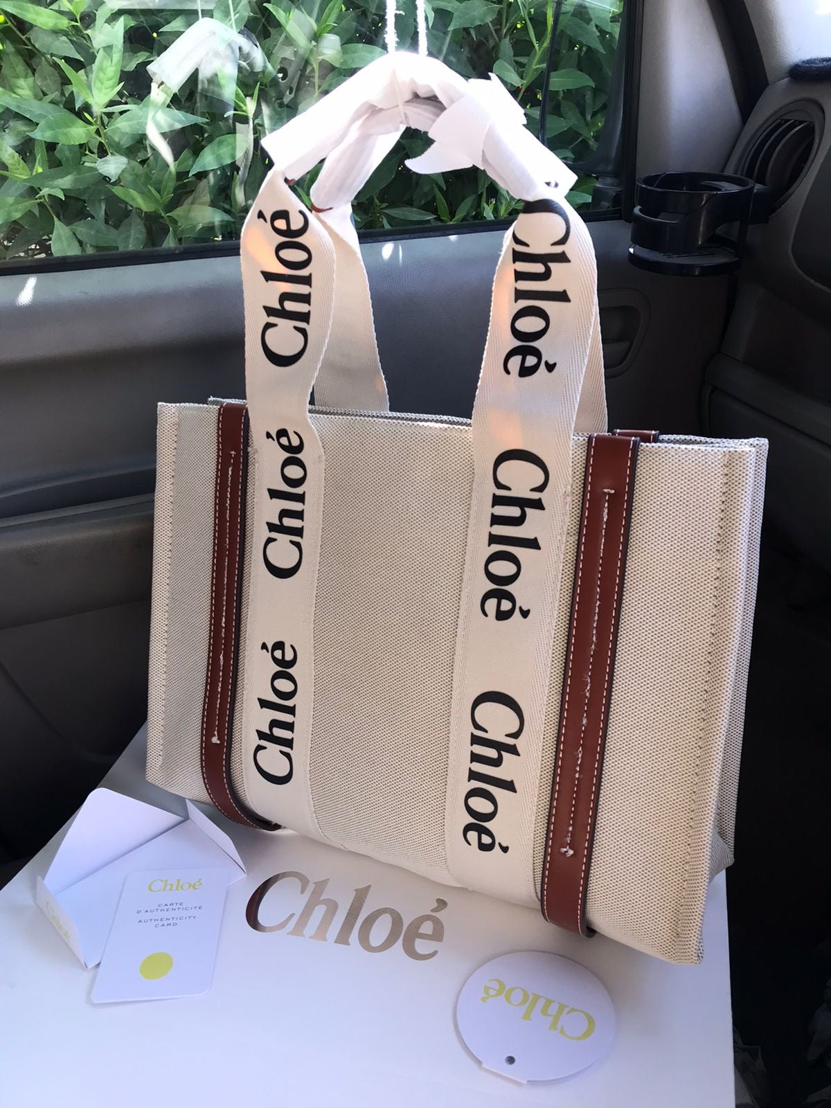 C hloe Book Tote Bag