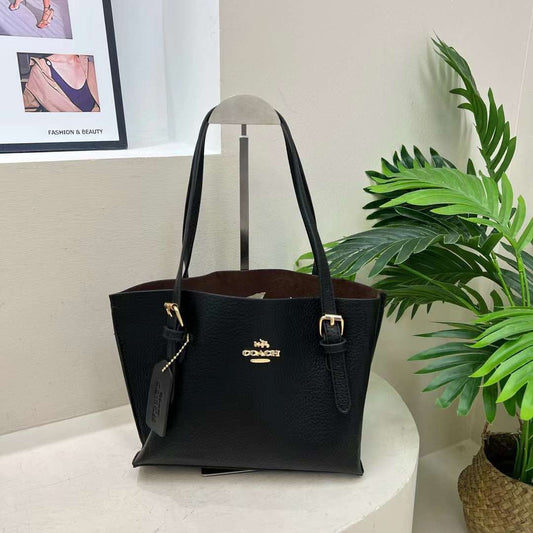 Coach Small Mollie Tote